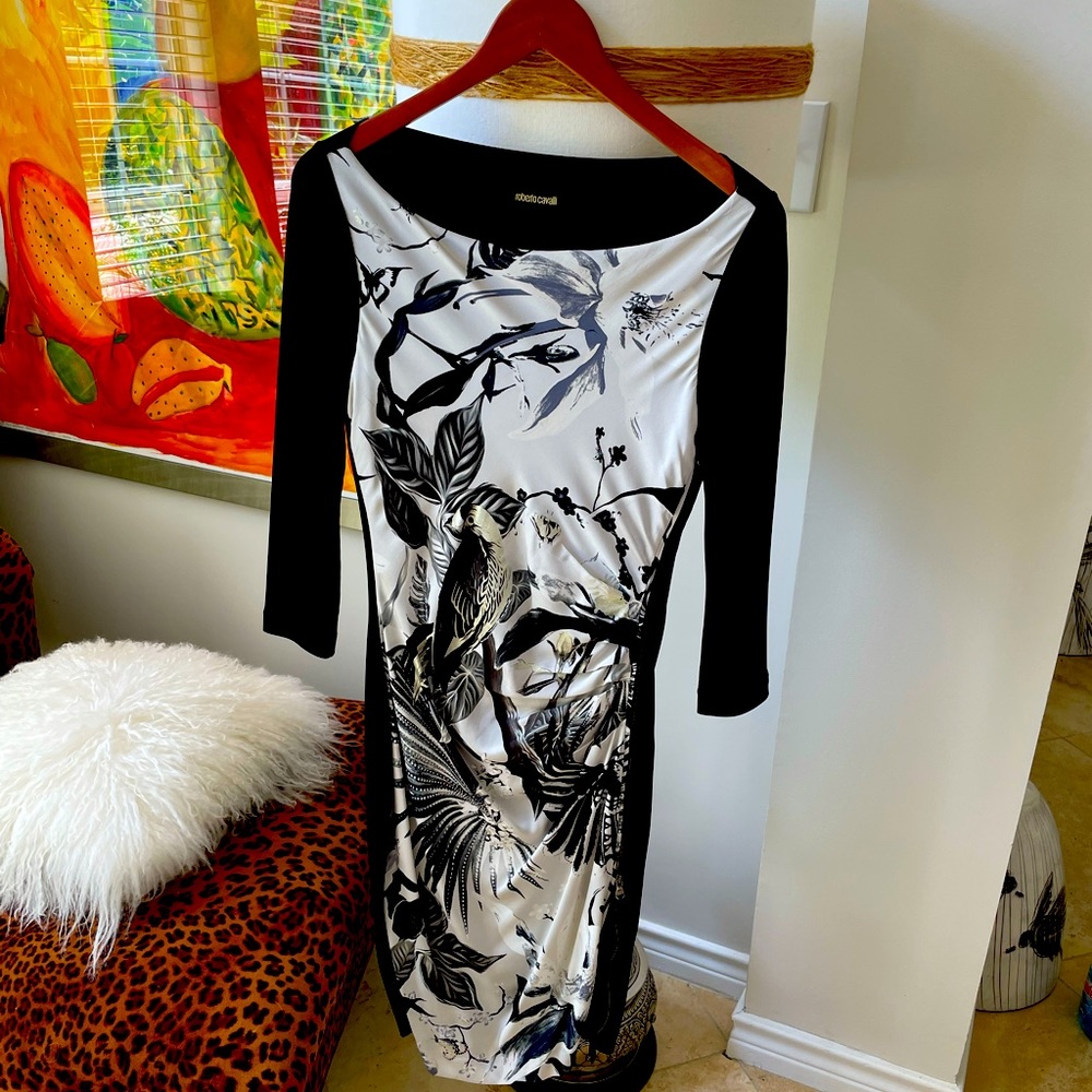 Roberto Cavalli black and silver dress.
